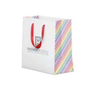 GESCHENKTASCHE KLEIN 10 Stück
